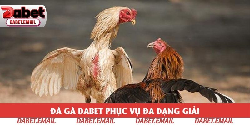 Đến với hệ thống để trải nghiệm đa dạng giải đấu Đến với hệ thống để trải nghiệm đa dạng giải đấu