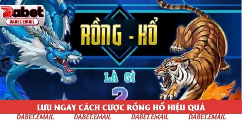 Lưu ngay cách cược Rồng Hổ hiệu quả Lưu ngay cách cược Rồng Hổ hiệu quả
