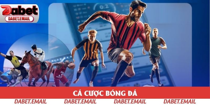 Bóng đá là bộ môn được kỳ vọng cực cao Bóng đá là bộ môn được kỳ vọng cực cao